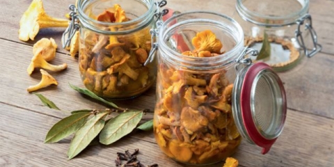 Kako soliti lisičarke: recepti za kuhanje kod kuće